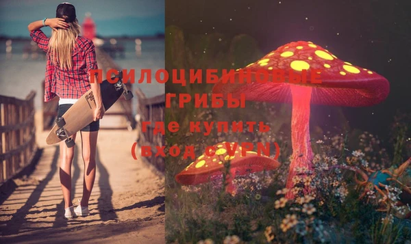 ECSTASY Алексеевка